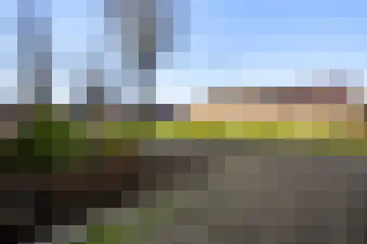 Houtsnip 73 Weert thumbnail 5