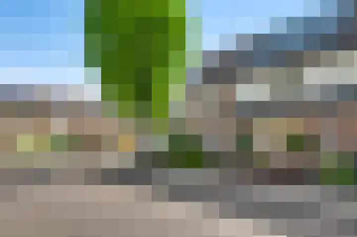 Houtsnip 75 Weert thumbnail 5