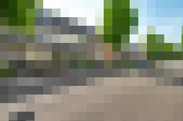 Houtsnip 75 Weert thumbnail 6