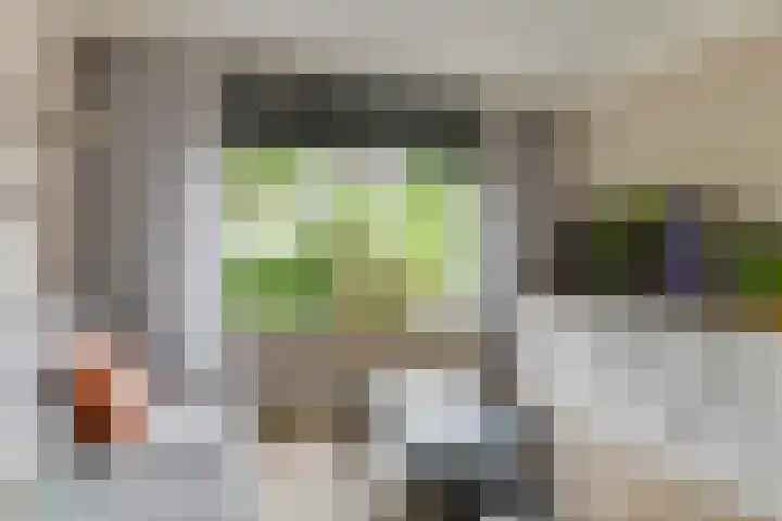 Houtsniplaan 15 Alkmaar thumbnail 10