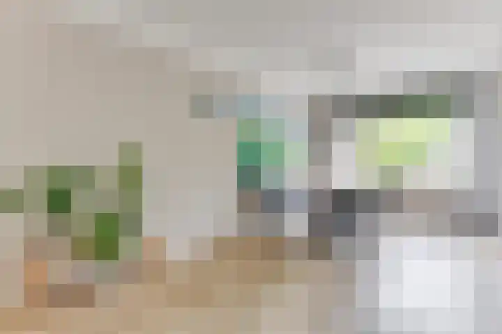 Houtsniplaan 15 Alkmaar thumbnail 13