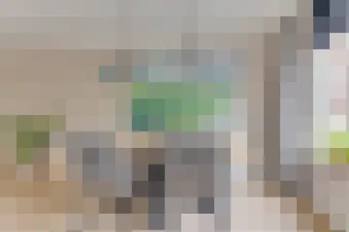 Houtsniplaan 15 Alkmaar thumbnail 15