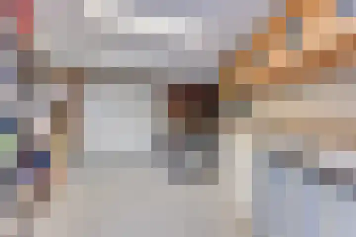 Houtsniplaan 15 Alkmaar thumbnail 19