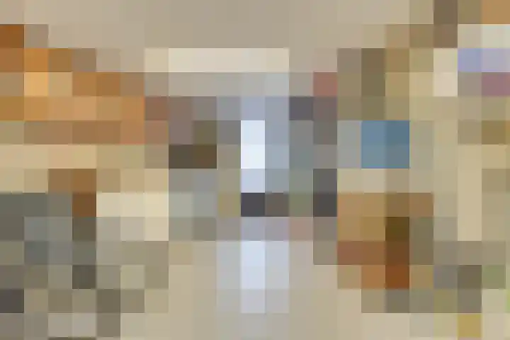 Houtsniplaan 15 Alkmaar thumbnail 20