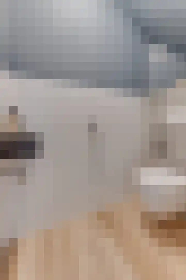 Houtsniplaan 15 Alkmaar thumbnail 21