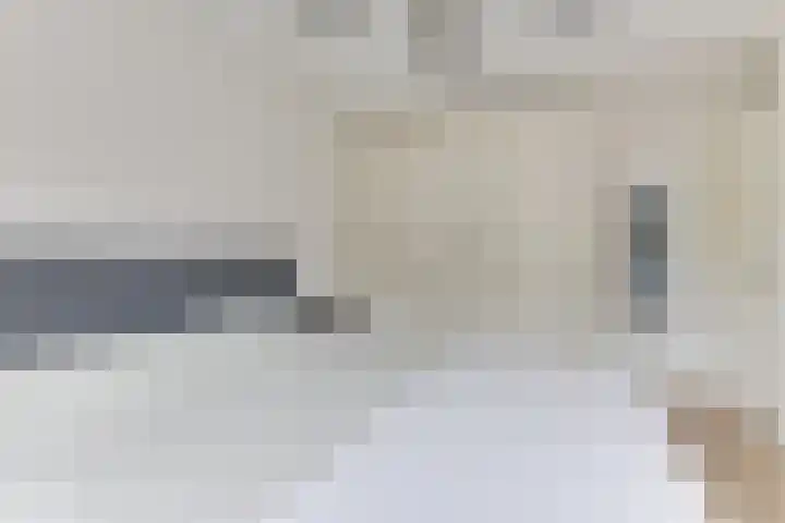 Houtsniplaan 15 Alkmaar thumbnail 24