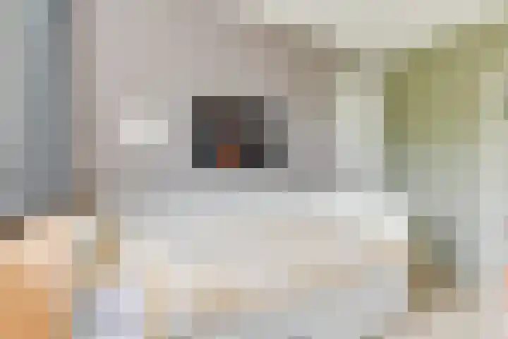 Houtsniplaan 15 Alkmaar thumbnail 33