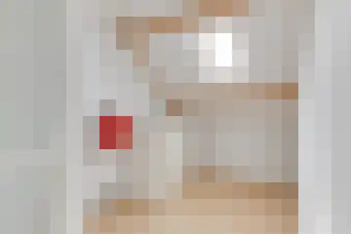 Houtsniplaan 15 Alkmaar thumbnail 36