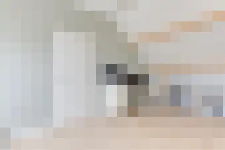 Houtsniplaan 15 Alkmaar thumbnail 38