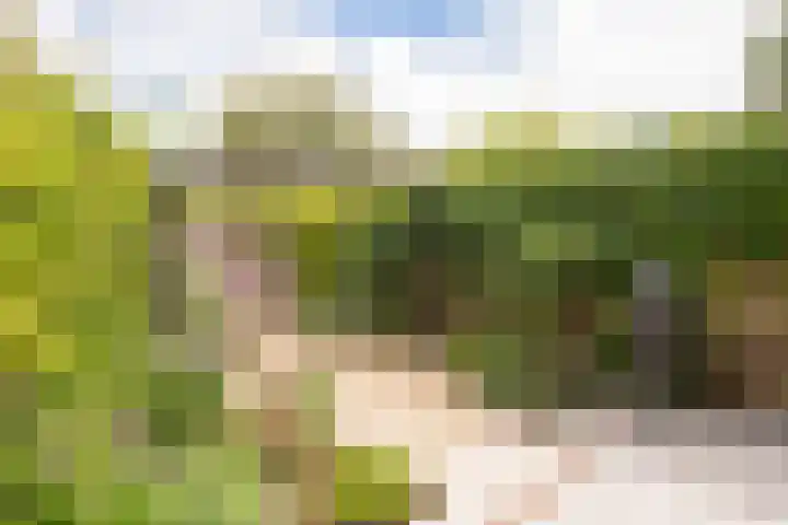 Houtsniplaan 15 Alkmaar thumbnail 40