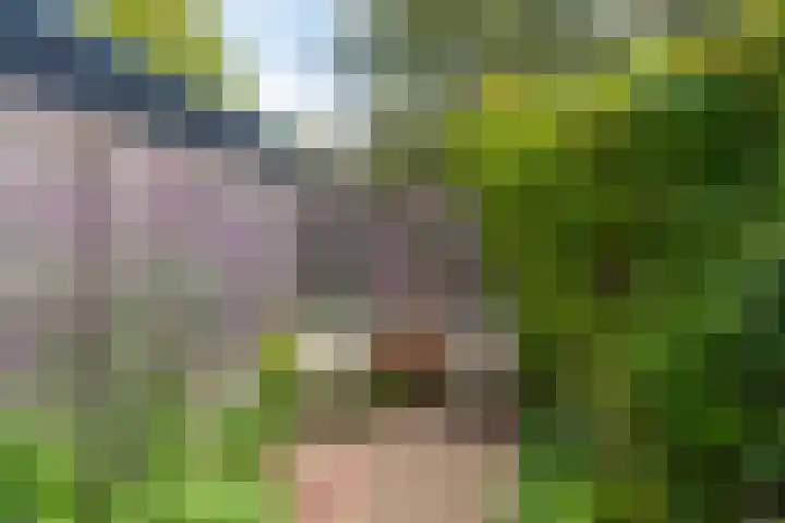 Houtsniplaan 15 Alkmaar thumbnail 43