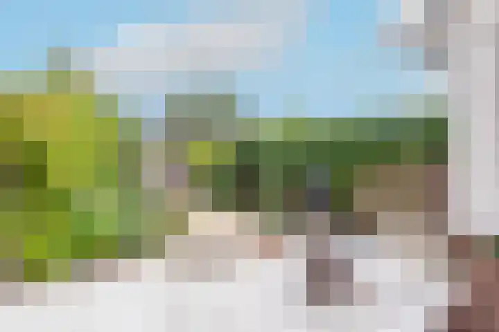 Houtsniplaan 15 Alkmaar thumbnail 44
