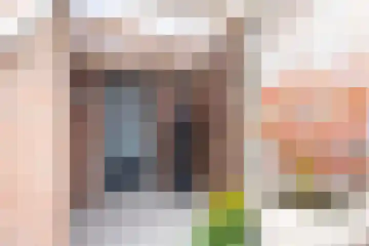 Houtsniplaan 15 Alkmaar thumbnail 45