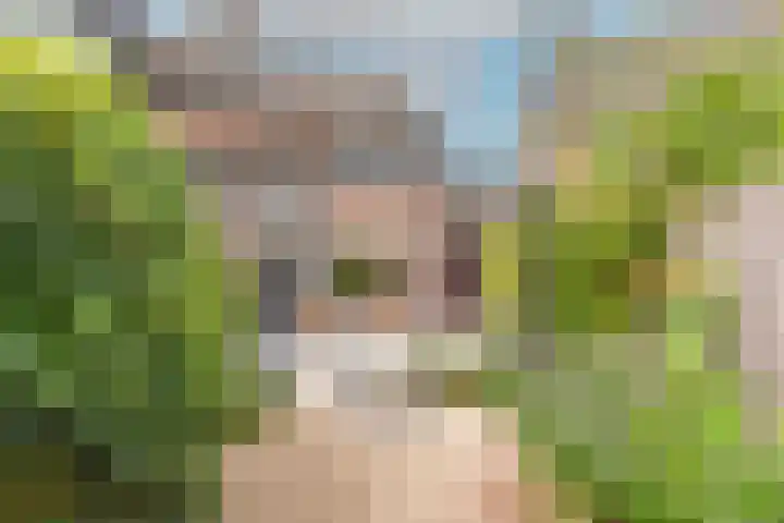 Houtsniplaan 15 Alkmaar thumbnail 46