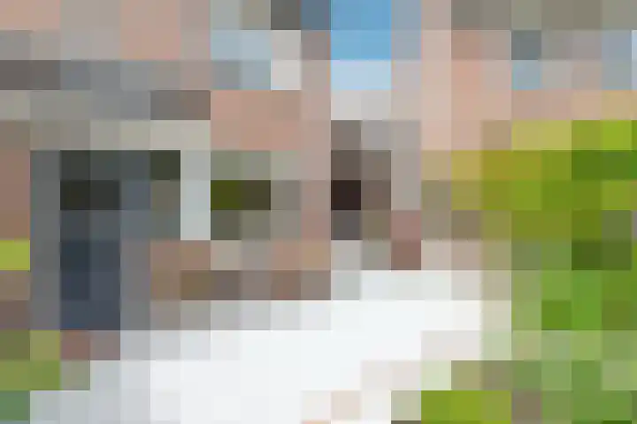 Houtsniplaan 15 Alkmaar thumbnail 47