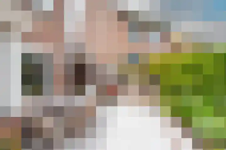 Houtsniplaan 15 Alkmaar thumbnail 48