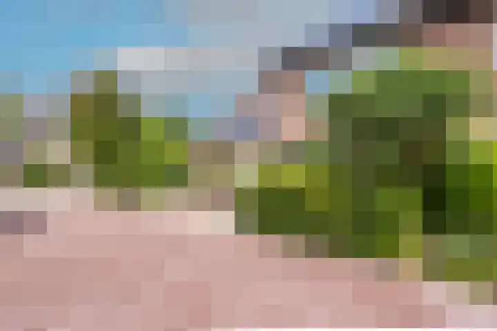 Houtsniplaan 15 Alkmaar thumbnail 52