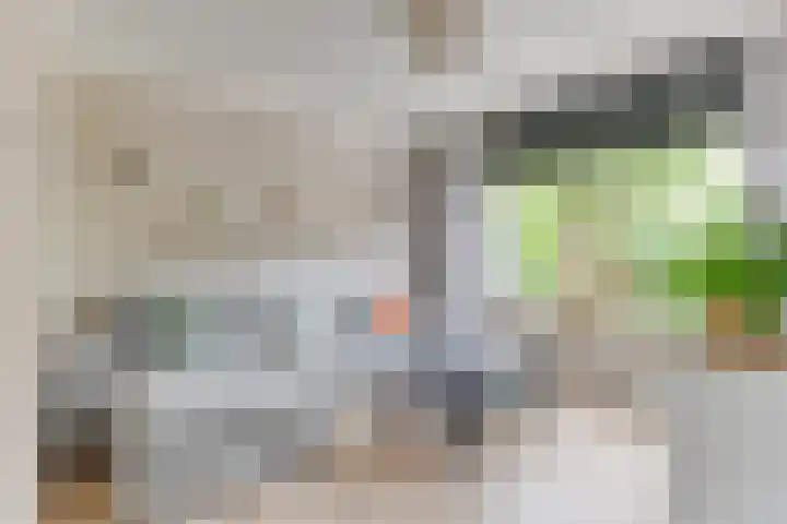 Houtsniplaan 15 Alkmaar thumbnail 9