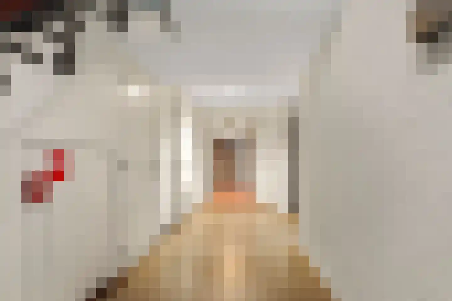 Houtsniplaan 7 Doorwerth thumbnail 14