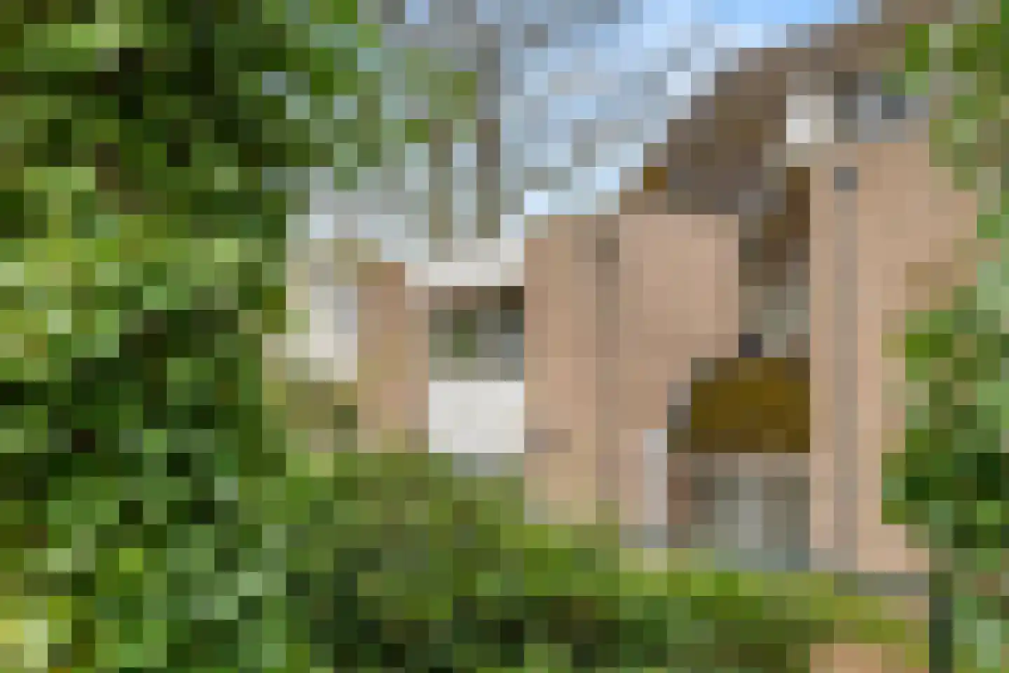 Houtsniplaan 7 Doorwerth thumbnail 4
