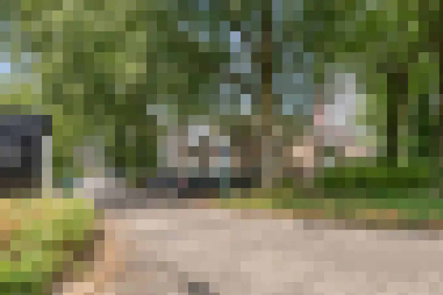 Houtsniplaan 7 Doorwerth thumbnail 41