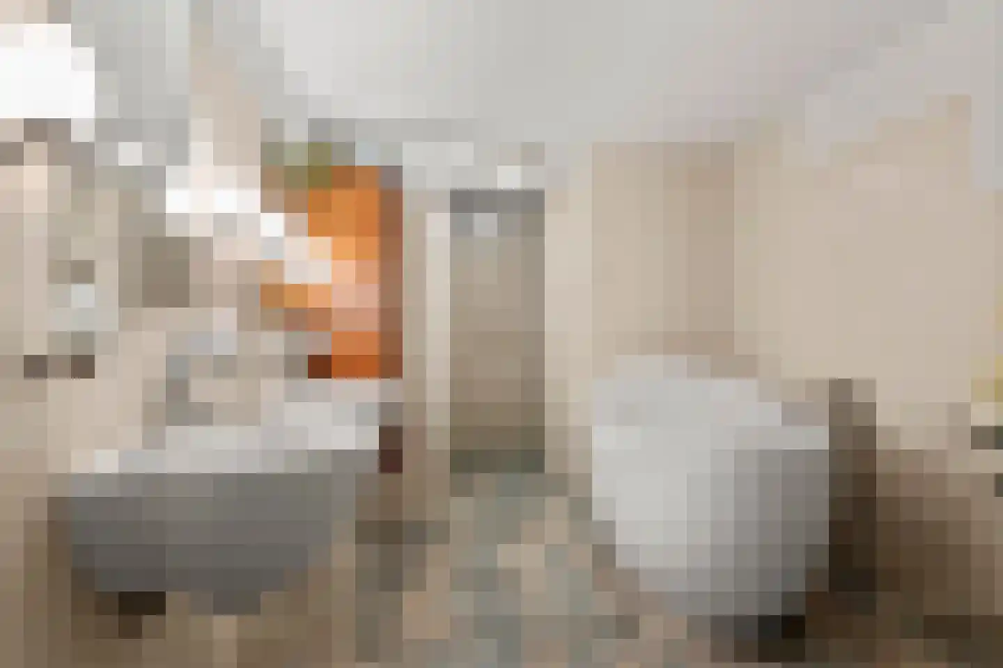 Houtsniplaan 7 Doorwerth thumbnail 42