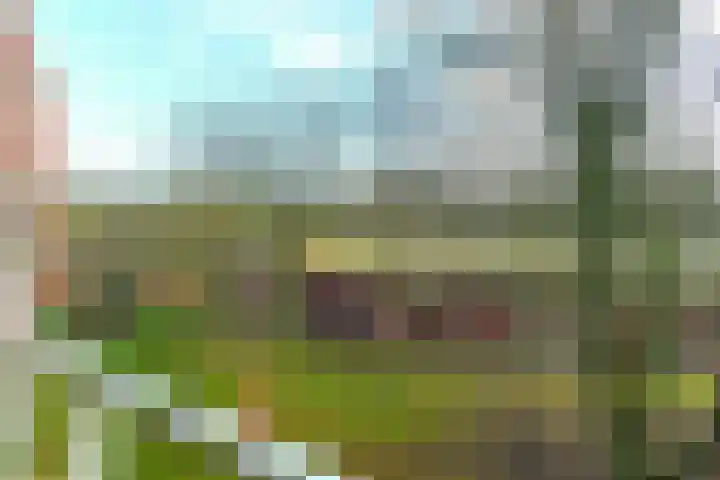 Houtsniplaan 76 Doorwerth thumbnail 14