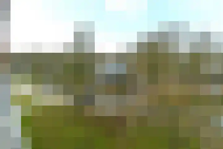Houtsniplaan 76 Doorwerth thumbnail 32