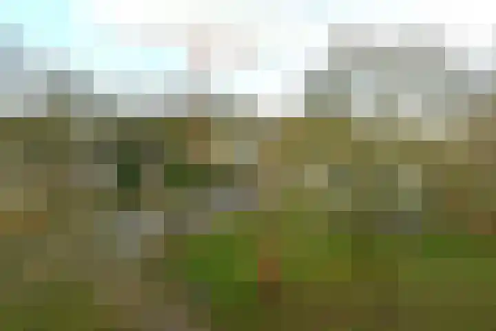 Houtsniplaan 76 Doorwerth thumbnail 33
