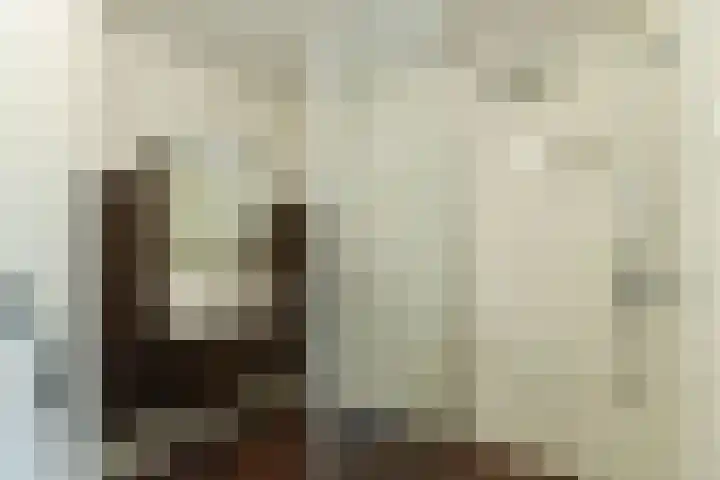 Houtsniplaan 76 Doorwerth thumbnail 37