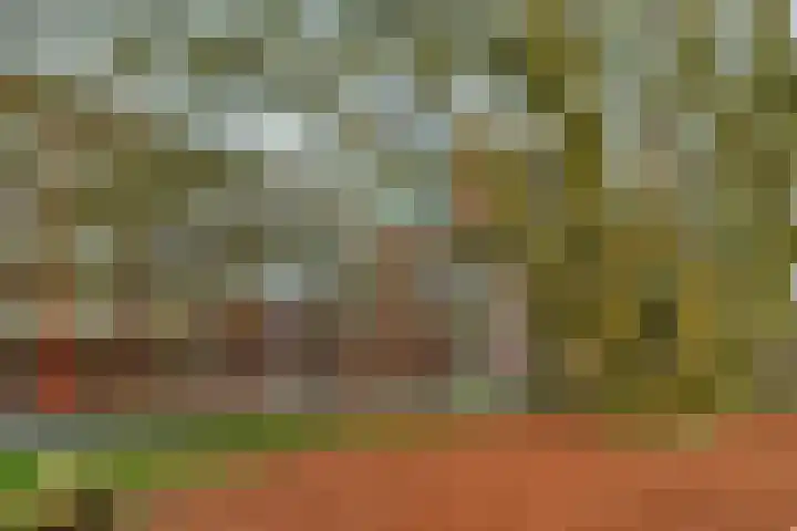 Houtsniplaan 76 Doorwerth thumbnail 43
