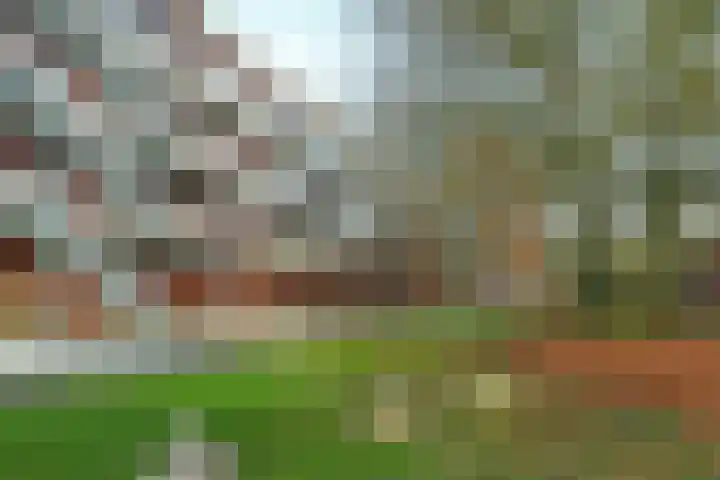 Houtsniplaan 76 Doorwerth thumbnail 44