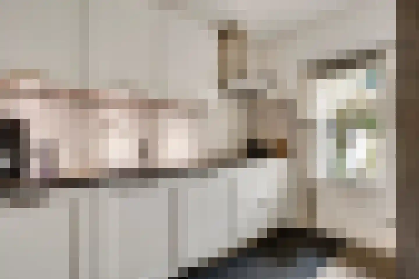 Houtsnipstraat 2 Venlo thumbnail 10