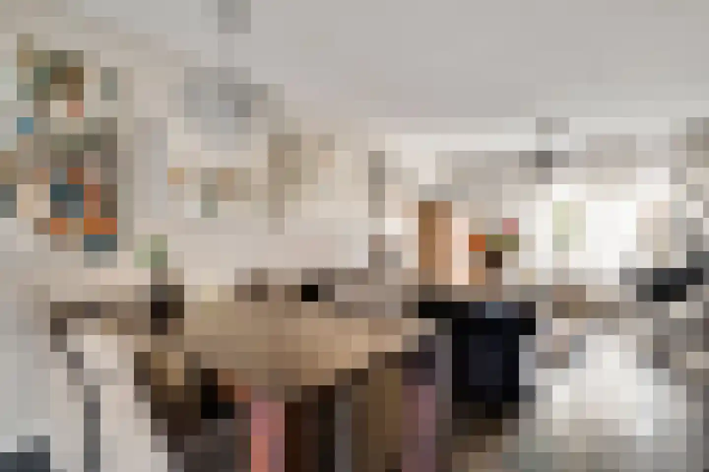 Houtsnipstraat 2 Venlo thumbnail 12
