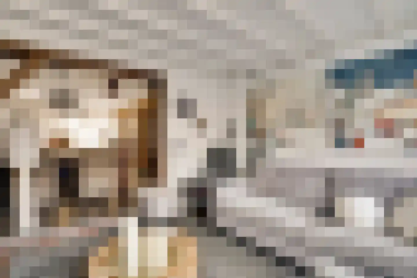 Houtsnipstraat 2 Venlo thumbnail 17