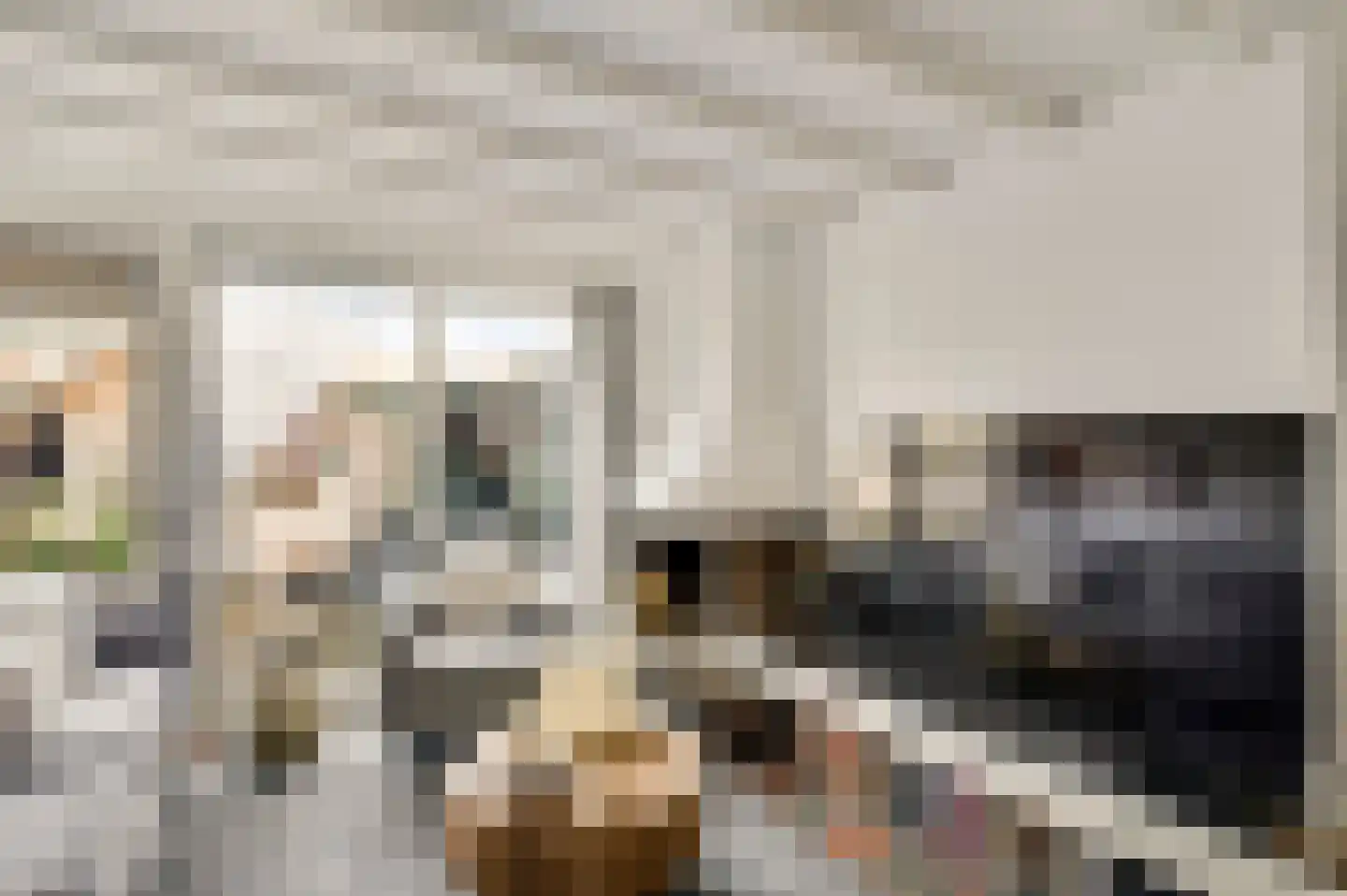 Houtsnipstraat 2 Venlo thumbnail 18