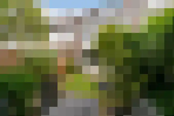 Houtsnipstraat 9 Maassluis thumbnail 34