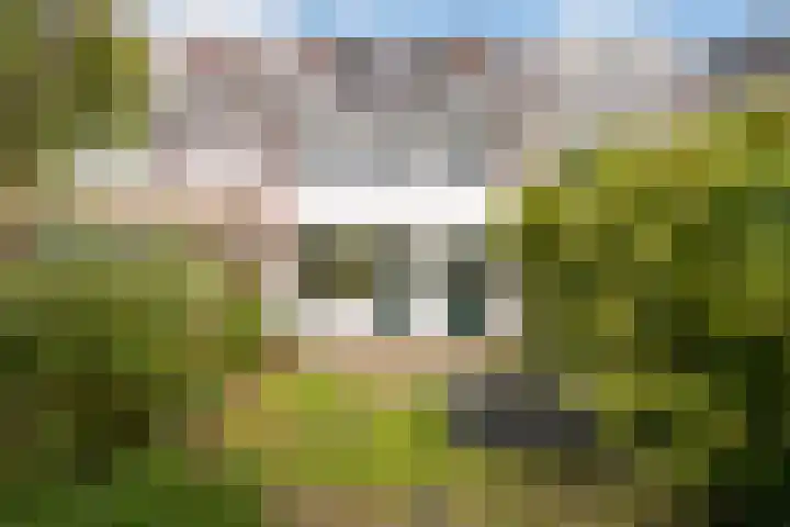 Houtsnipstraat 9 Maassluis thumbnail 4