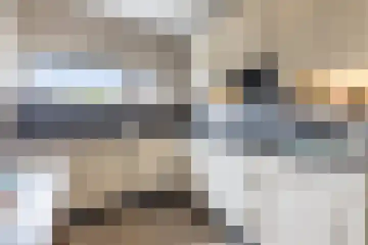 Houtsnipwal 108 Cuijk thumbnail 11