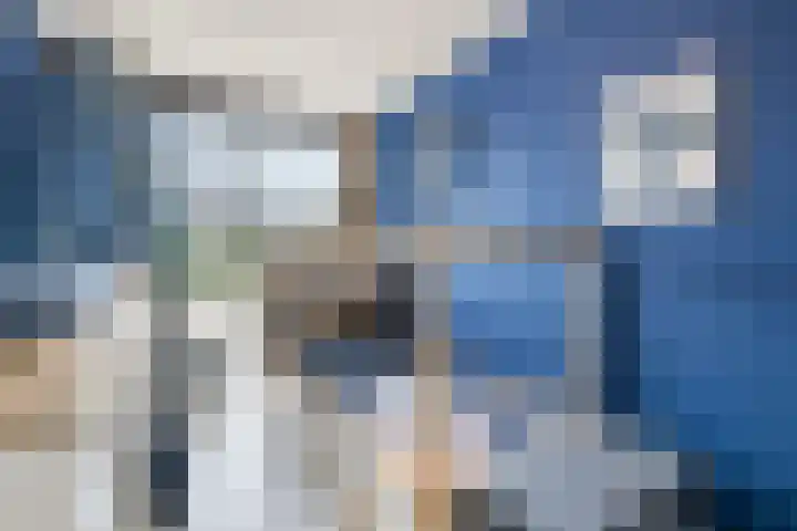 Houtsnipwal 108 Cuijk thumbnail 16