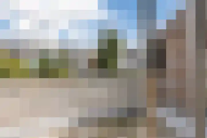 Houtsnipwal 108 Cuijk thumbnail 17