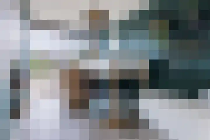 Houtsnipwal 108 Cuijk thumbnail 18