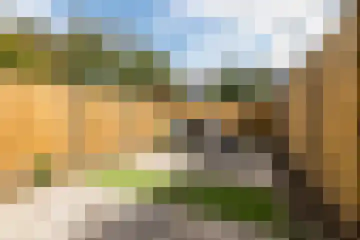 Houtsnipwal 108 Cuijk thumbnail 25