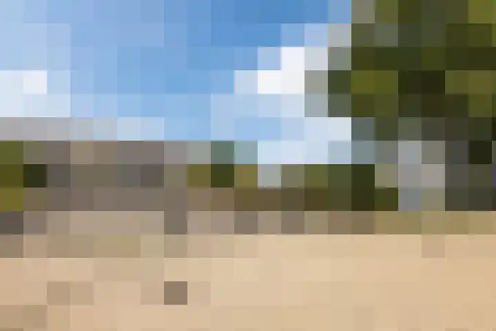 Houtsnipwal 108 Cuijk thumbnail 27