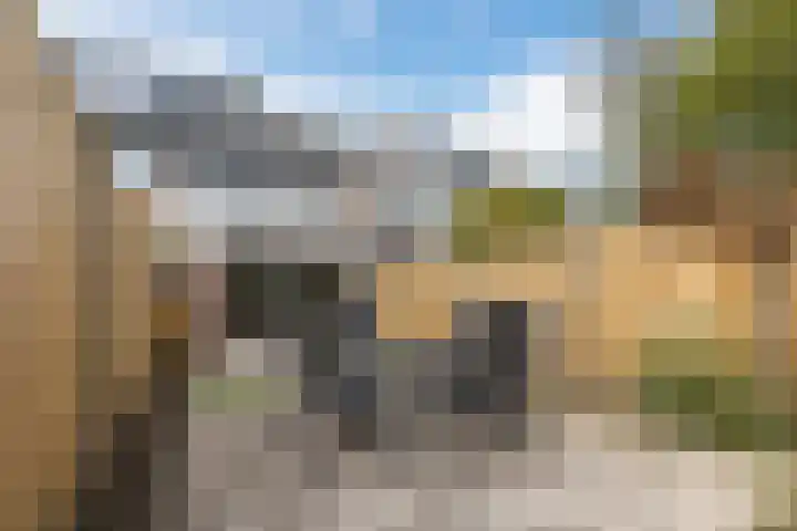 Houtsnipwal 108 Cuijk thumbnail 4