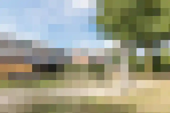 Houtsnipwal 108 Cuijk thumbnail 5