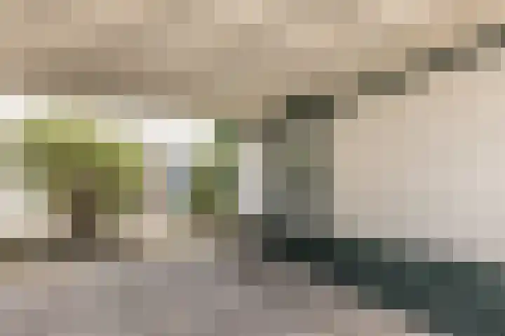 Houtsnipwal 108 Cuijk thumbnail 6