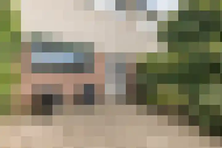 Houtsnipwal 108 Cuijk thumbnail 7
