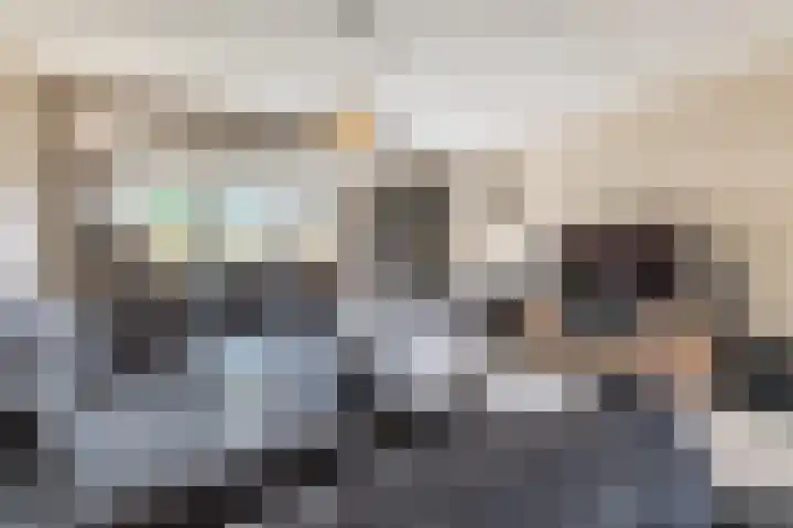 Houtsnipwal 108 Cuijk thumbnail 8