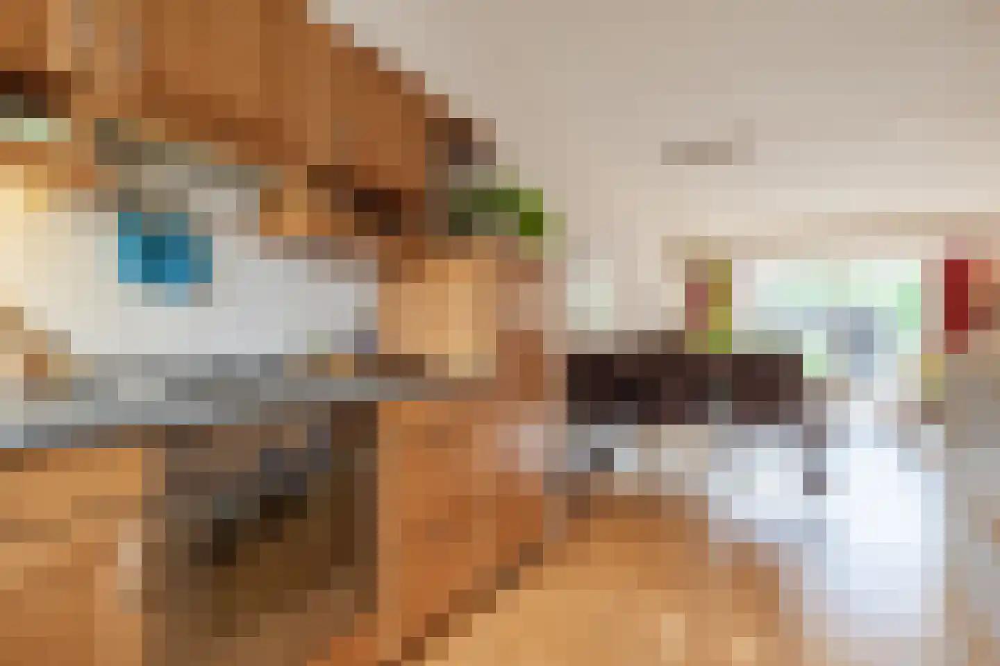 Houtsnipwal 18 Cuijk thumbnail 12